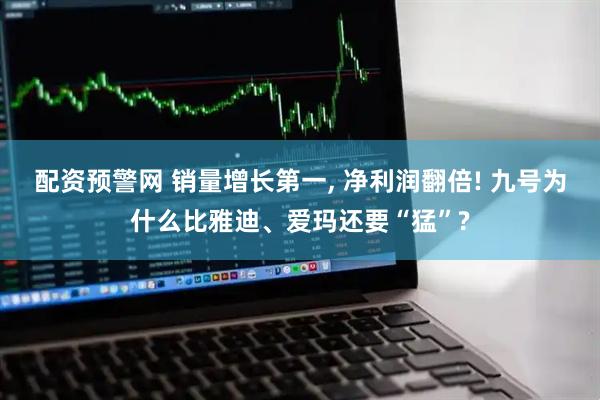 配资预警网 销量增长第一, 净利润翻倍! 九号为什么比雅迪、爱玛还要“猛”?